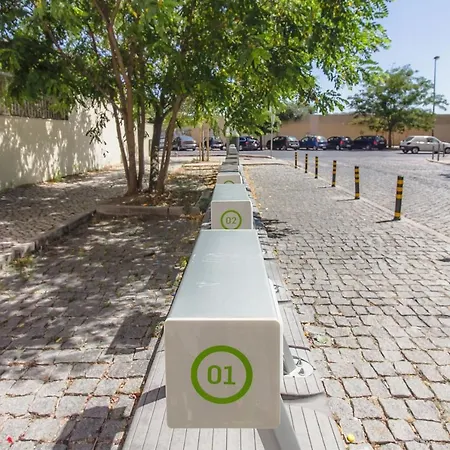 Apartment Place & Beyond *