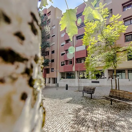 Apartment Place & Beyond *